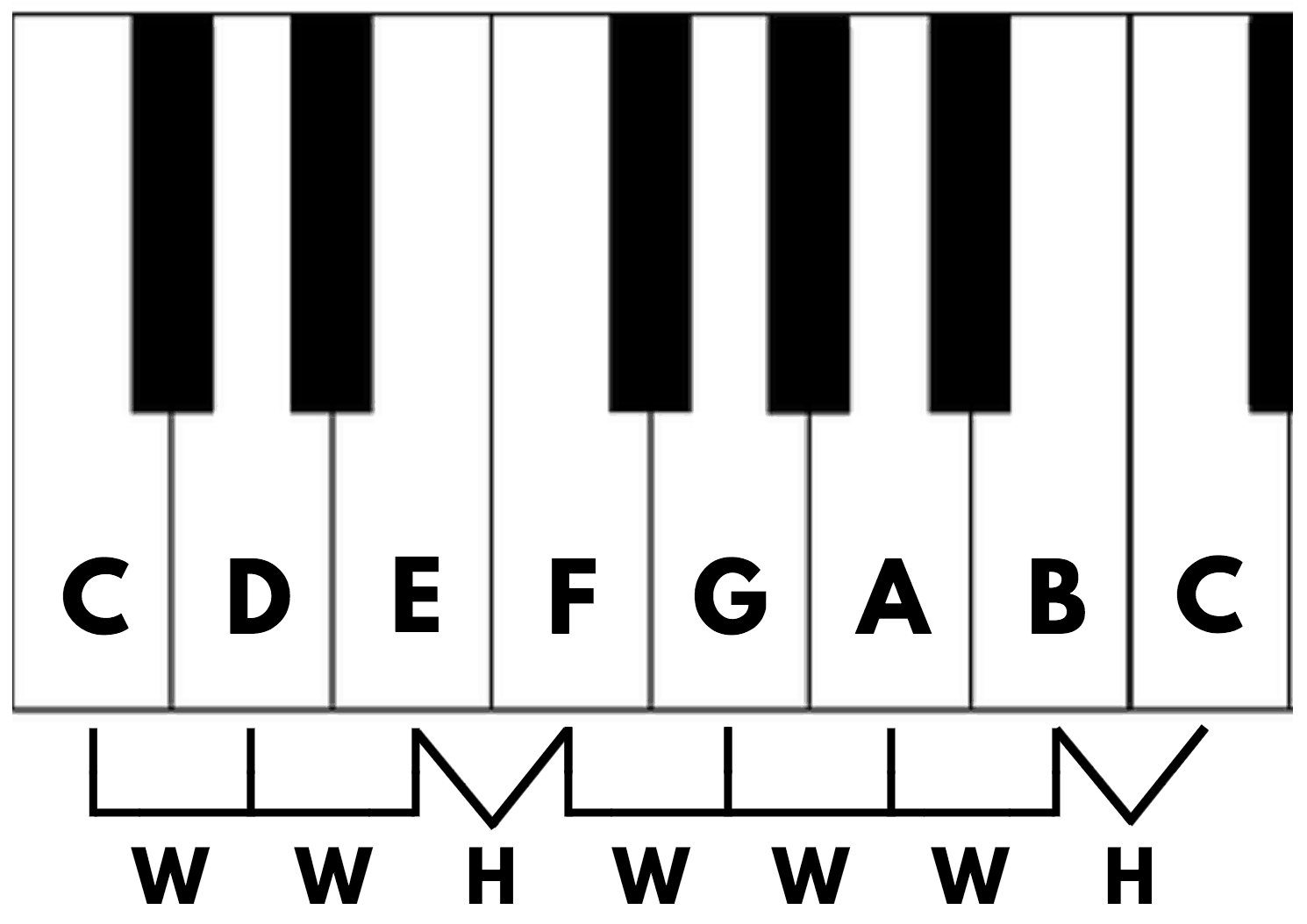 Major and minor scale reference showing whole and half step intervals