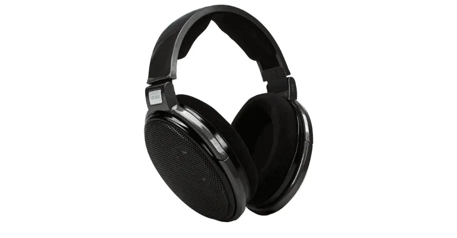 Sennheiser HD 650 open-back studio headphones