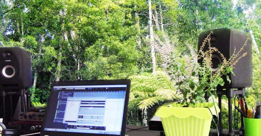 Indiegogo forest studio, unclear where the forest ends and the studio begins, in the best way