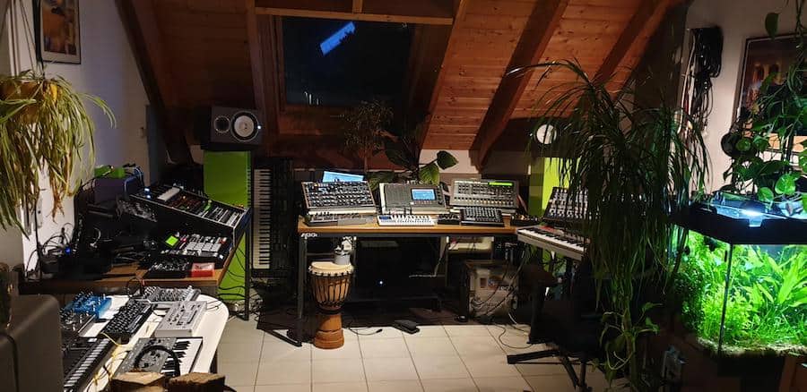Reddit plant studio, busy gear-packed room saved by strategic plant placement