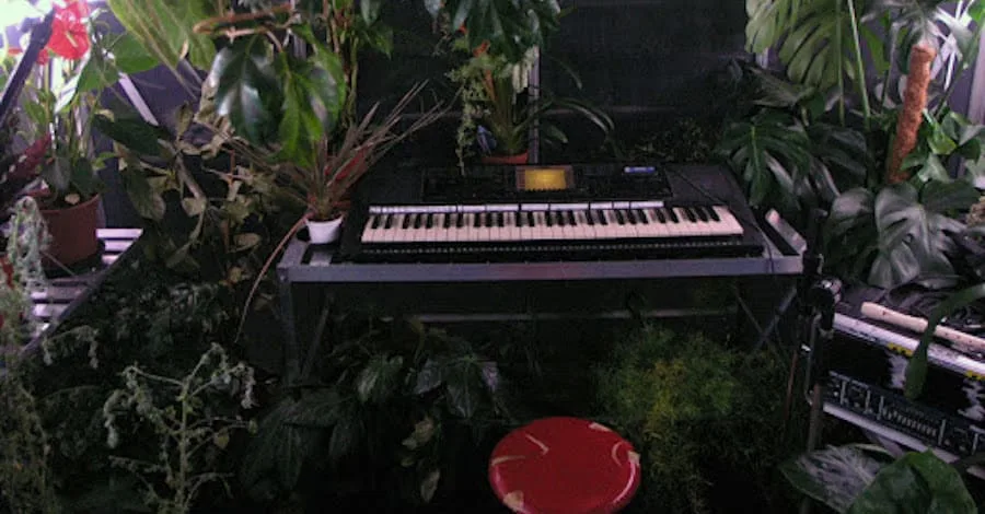Peter Coffin studio in a greenhouse, incredible use of a natural growing space as a recording environment
