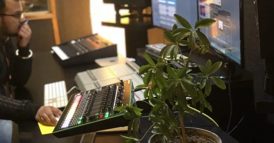 ILoveMusic plant studio, plants carrying the whole vibe