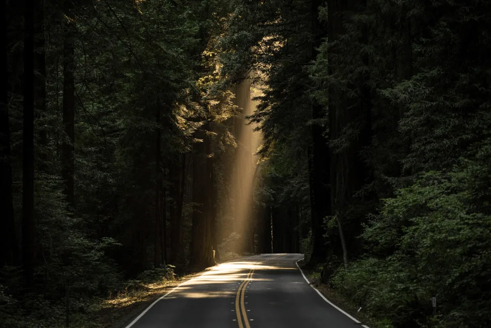 Empty road stretching into the distance, symbolizing the long path of persistence
