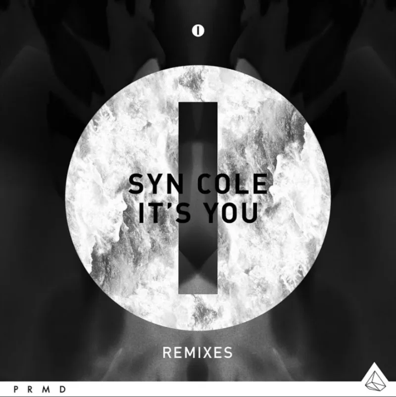 Syn Cole - It's You (The Rooftop Boys Remix) [PRMD] cover art